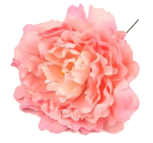 Fleur de Flamenco Pivoine classique Saumon. 12cm